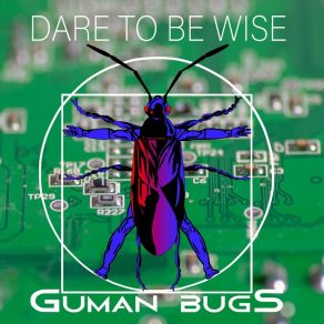 Download track Funk Oil Guman Bugs