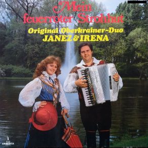 Download track So Ist Die Welt Original Oberkrainer-Duo Janez