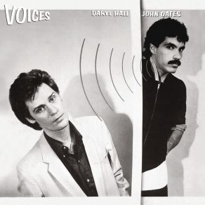 Download track Gotta Lotta Nerve (Perfect Perfect) Daryl Hall, John Oates