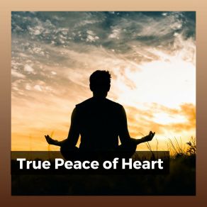 Download track Gift Of Life Zen