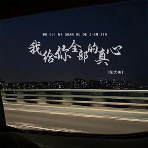 Download track 我给你全部的真心 (Djpad仔版) 张大美Pad仔