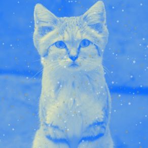 Download track Background For Cozy Kittens Calm Cat Music