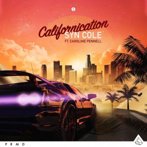 Download track Californication (VIP Mix) Syn ColeCaroline Pennell