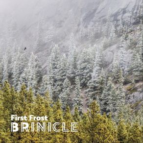 Download track Spring Thaw Brinicle