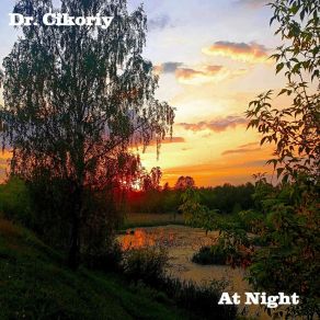 Download track At Night Dr. Cikoriy