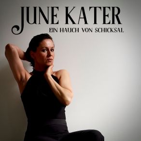 Download track Ich Hab Noch Ein Koffer In Berlin - Klatschlied June Kater