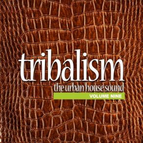 Download track Silver Tounge TribalismLes Liaisons Dangereuses