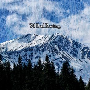 Download track Divine In Dreaming Relax Nature Sounds Artists