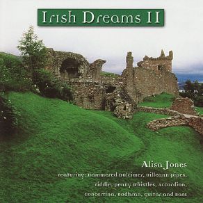 Download track The Rakes Of Kildare (Instrumental) Jim FergusonALisa Jones