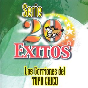 Download track Rio Colorado Los Gorriones Del Topo Chico