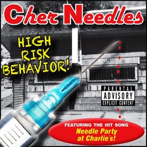 Download track Steady Cher Needles