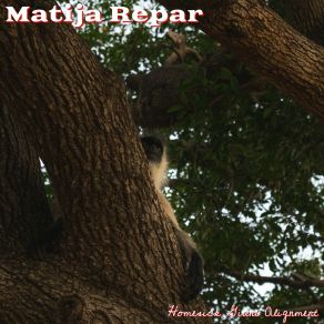 Download track Parade Hesitation Iron Embrace Matija Repar