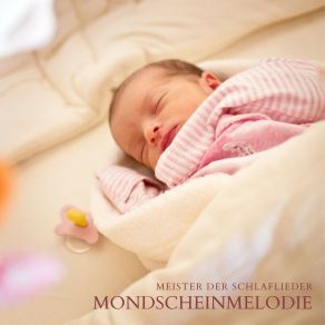 Download track Babyschlaflied Meister Der Schlaflieder