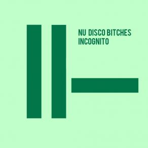 Download track Incognito (Club Mix) Nu Disco Bitches