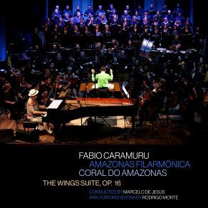 Download track The Wings Suite, Op. 16, No. 4: Harpia (Arr. For Orchestra By Rodrigo Morte) Fabio Caramuru