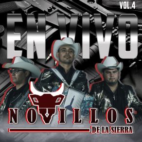 Download track Huevos De Toro (En Vivo) Novillos De La Sierra