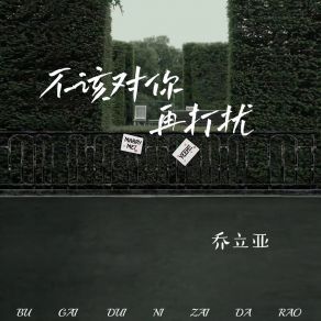 Download track 不该对你再打扰 (伴奏) 乔立亚