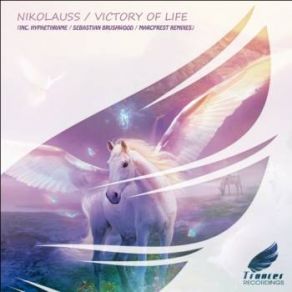 Download track Victory Of Life (Sebastian Brushwood Remix) Nikolauss