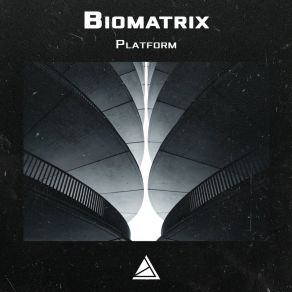 Download track Moon Ninja Biomatrix