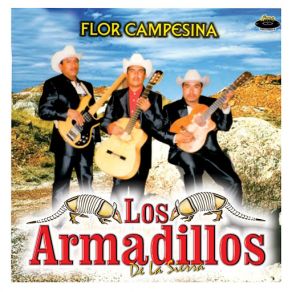 Download track Elenita Los Armadillos De La Sierra