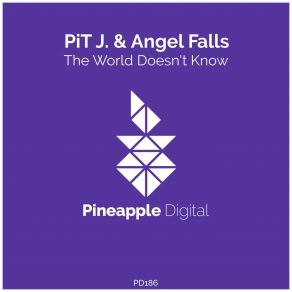 Download track The World Doesnt Know PiT J, Angel Falls