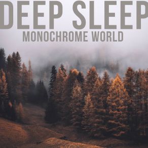 Download track In The Mirror Deep Sleep