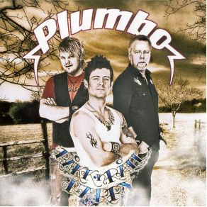 Download track Kong Alkohol (Staro & Akki Remix) Plumbo