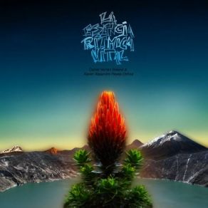 Download track Llora La Vida, Llora El Alma (La Pachamama) La Esencia Rítmica Vital