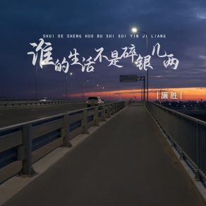 Download track 谁的生活不是碎银几两 (Dj版) 廉胜德朋