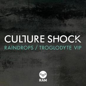 Download track Troglodyte VIP Culture Shock