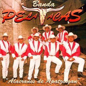 Download track Los 11 Pueblos Banda Pelavacas