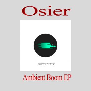 Download track Finish Line (Osier Remix) OsierSolidsown