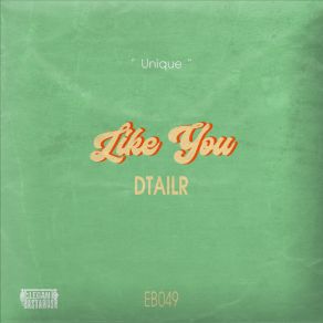 Download track Like You Dtailr