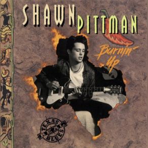 Download track Night Stomp Shawn Pittman