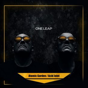 Download track Acid Joint One Leap