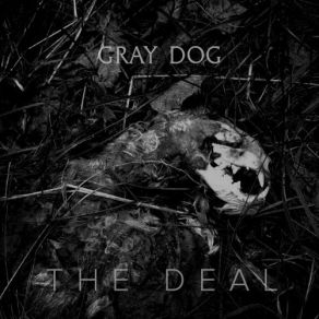 Download track Why Did You Fuck Me And Leave? Gray Dog