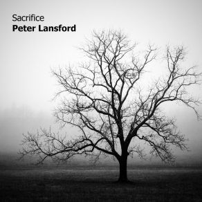 Download track First Intentions Peter Lansford