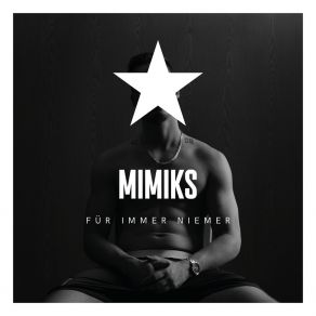 Download track RIP Mimiks