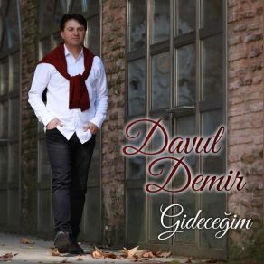 Download track Babandan İzin Al Gel Davut Demir