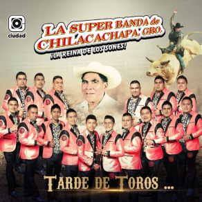 Download track El Toro Golondrino Gro