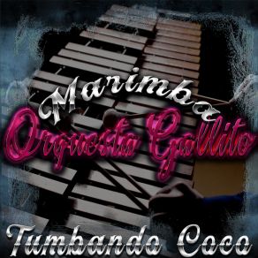 Download track Cumbia Jalapaneca MARIMBA ORQUESTA GALLITO