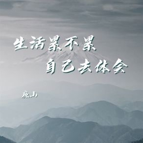 Download track 生活累不累自己去体会 (伴奏) 廉山