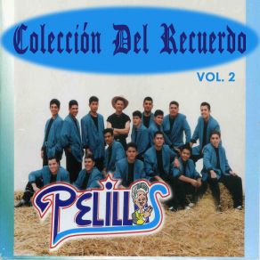 Download track Muchacha Bonita Banda Pelillos