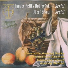 Download track Elsner - Septet - III. Minuetto. Allegro Konstanty Andrzej Kulka, Magdalena Adamek, Camerata Vistula