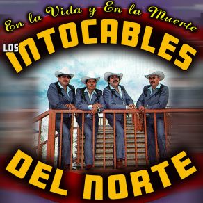 Download track Nido Vacio Los Intocables Del Norte