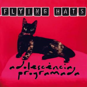 Download track No Matareu Al Cantautor Flying Hats