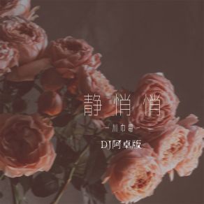 Download track 静悄悄 (DJ阿卓版伴奏) Ah Cheuk