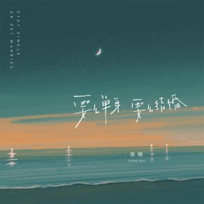 Download track 要么单身 要么结婚 Xiao Zhang