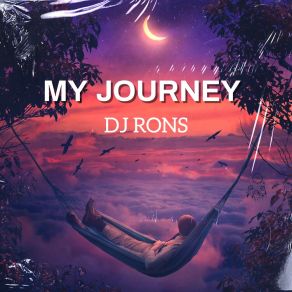 Download track Fly Again DJ RONS