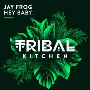 Download track Hey Baby! (Original Mix) Jay Frog